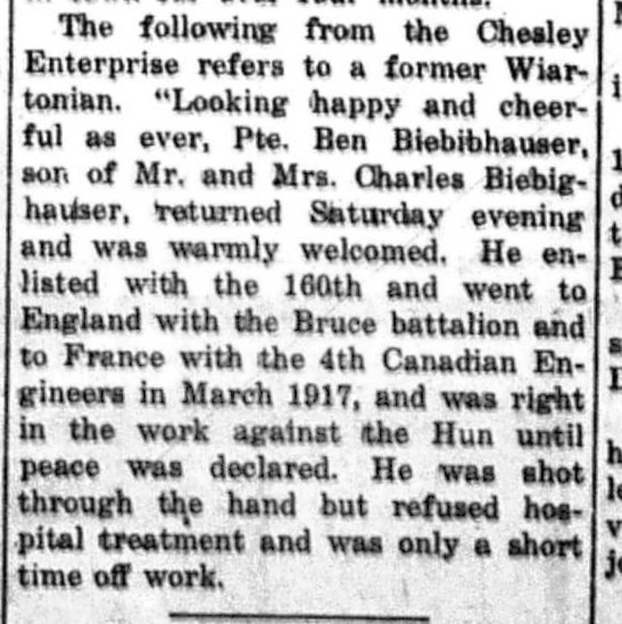 Canadian Echo, June 11, 1919 